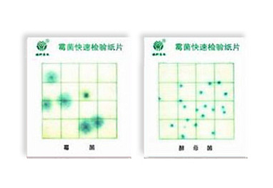 大腸菌群檢測